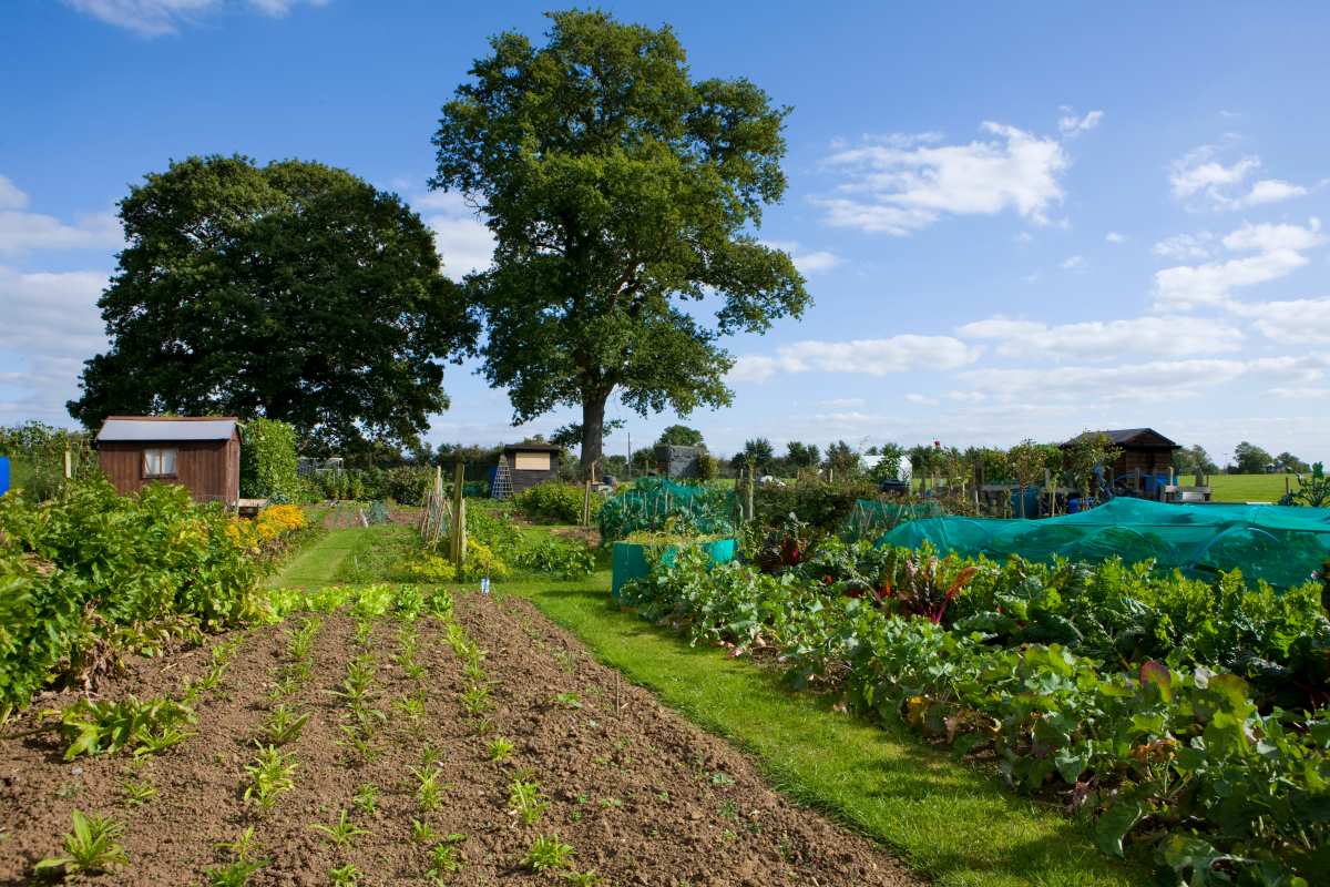 Gartengrundstück in Esslingen kaufen oder pachten — Was pass