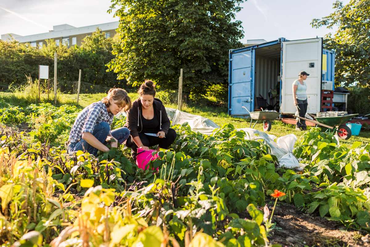 Gemeinschaftsgarten in Esslingen anlegen – Gemeinsam gärtner