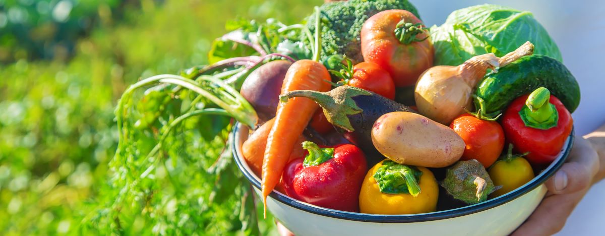 Saisonkalender Obst Gemüse – Regional & Frisch