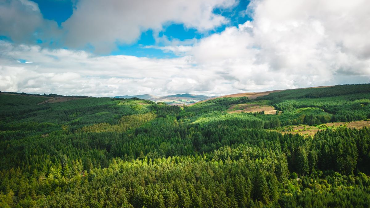 Natur entdecken vor der Haustür – Tipps & Apps