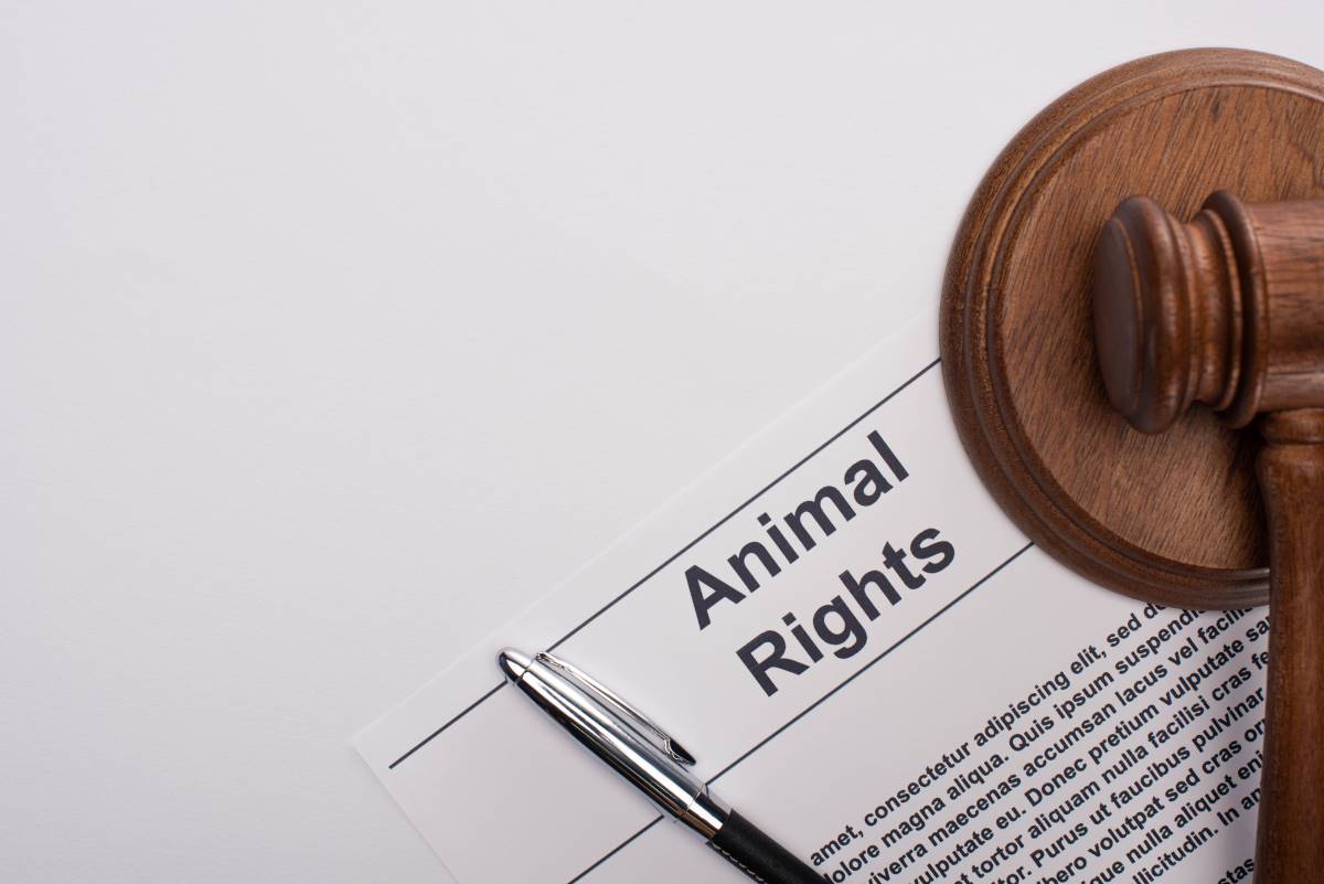 Petition starten in Esslingen — So setzen Sie Ihre Anliegen 
