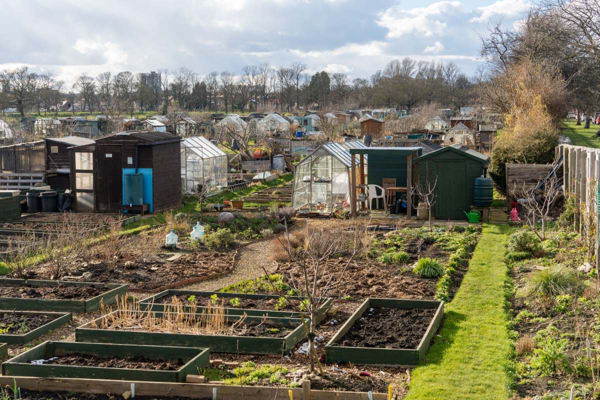 Schrebergarten in Esslingen: Pacht, Regeln und praktische Ti